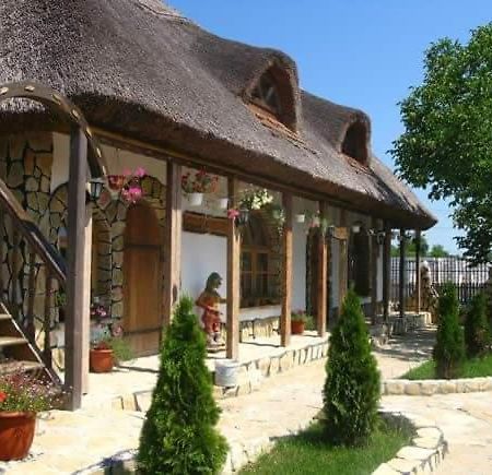 Casa Cu Flori 무리기올 외부 사진