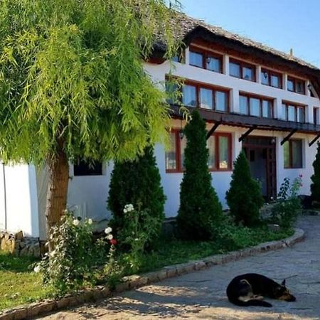 Casa Cu Flori 무리기올 외부 사진